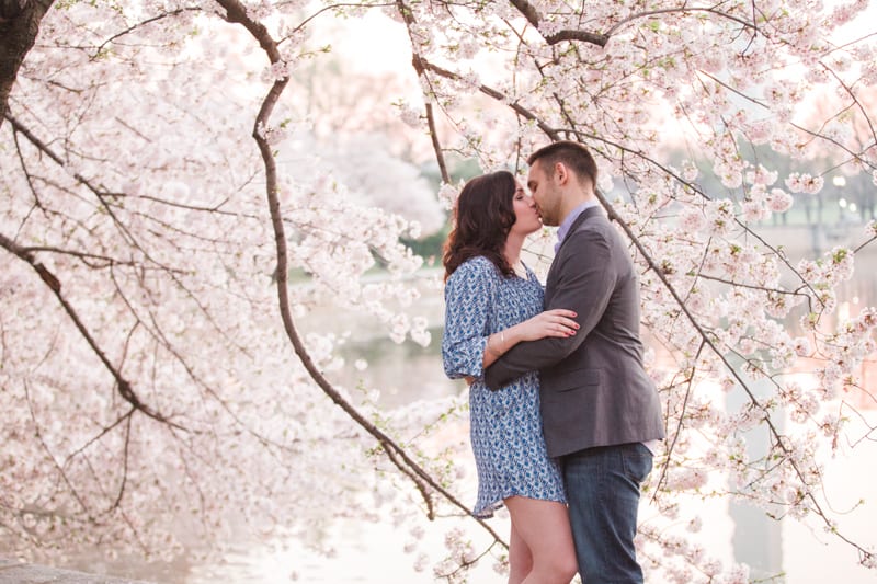 cherry blossom engagement-20