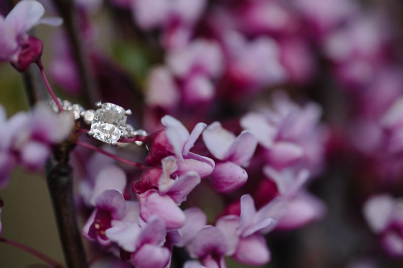 southern maryland engagement-42