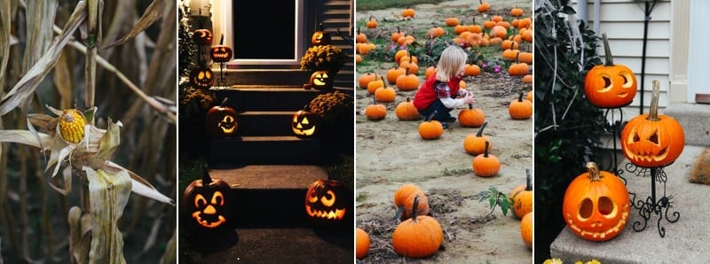 fall_0151