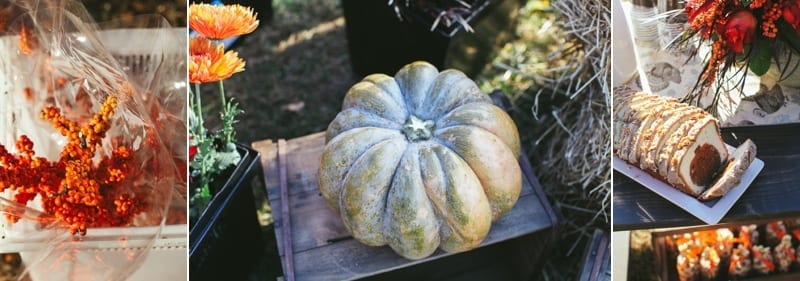 fall_0152