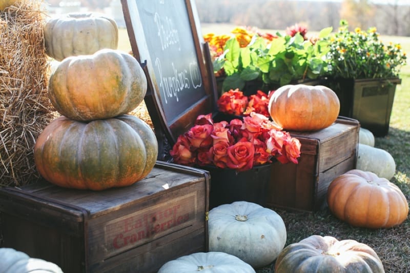 fall_0155