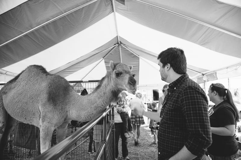 fair 2014