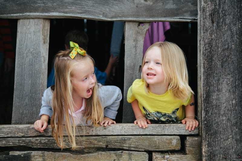 pumpkin patch trip pre k 3-8