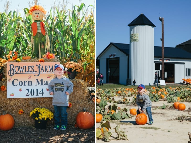 bowles farm_0304