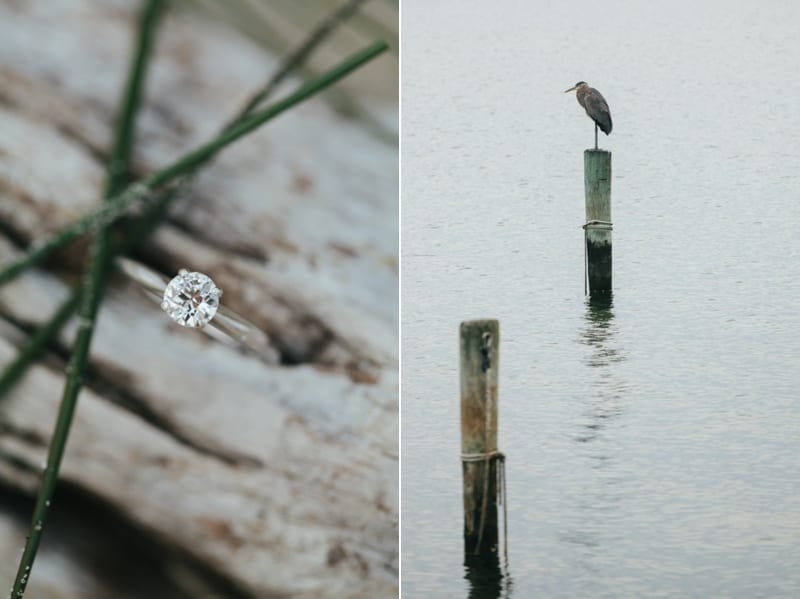 southern maryland engagement_0794