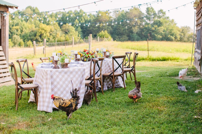 farm to table rehearsal dinner southern maryland-16