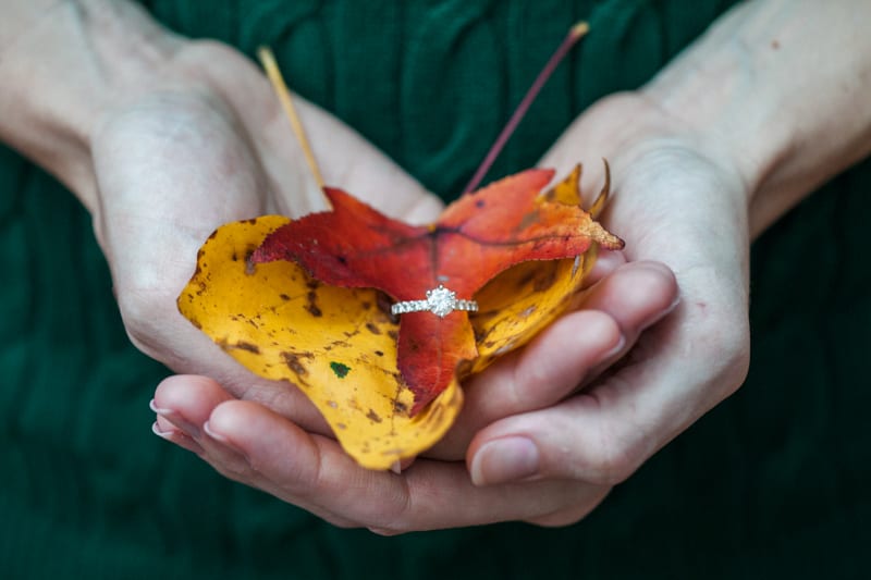 DC fall engagement photography-55