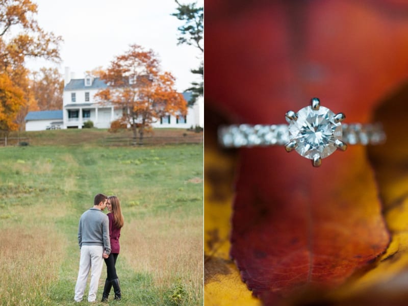 dc engagement photography_0170