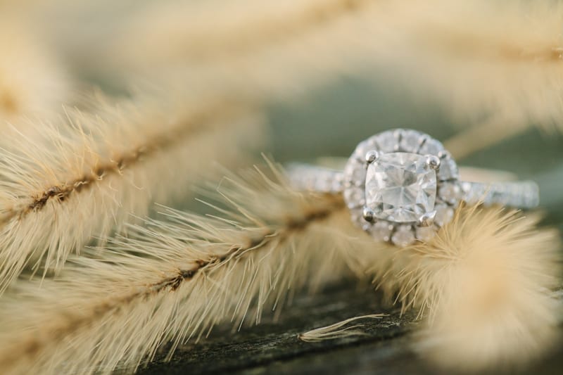 southern maryland fall engagement photography-12