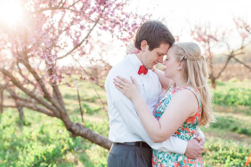 washington dc apple blossom engagement photography-27