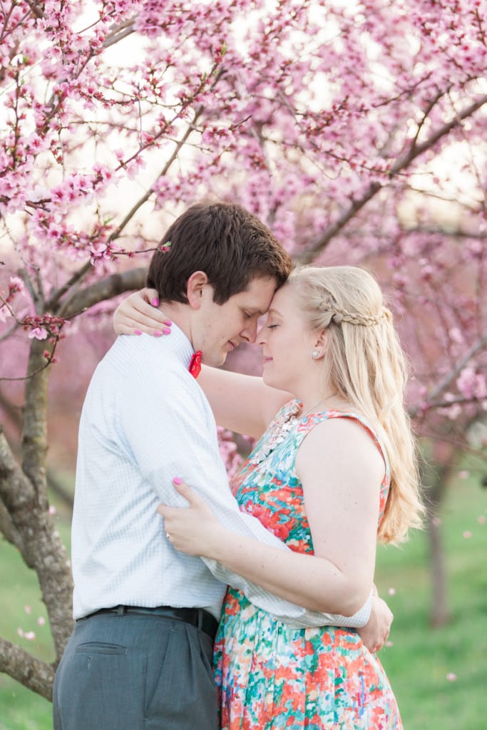 washington dc apple blossom engagement photography-30