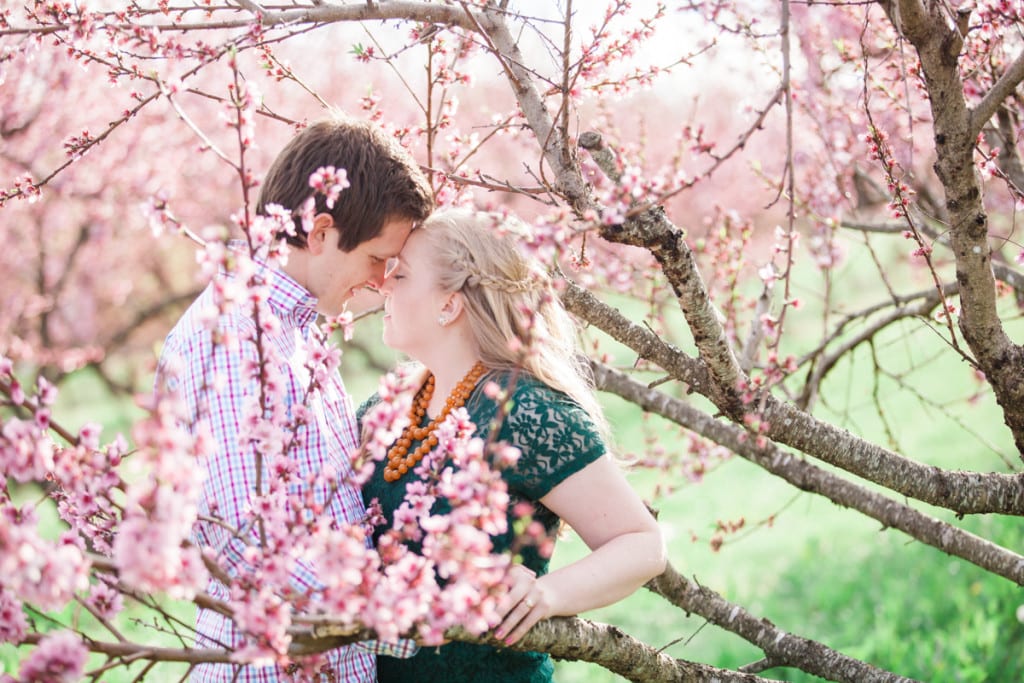 washington dc apple blossom engagement photography-31